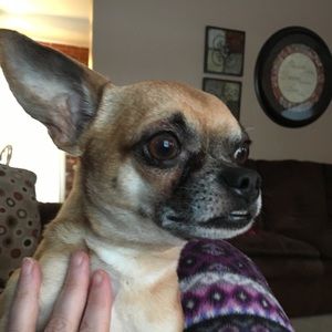 Meet your Posher, Sheila